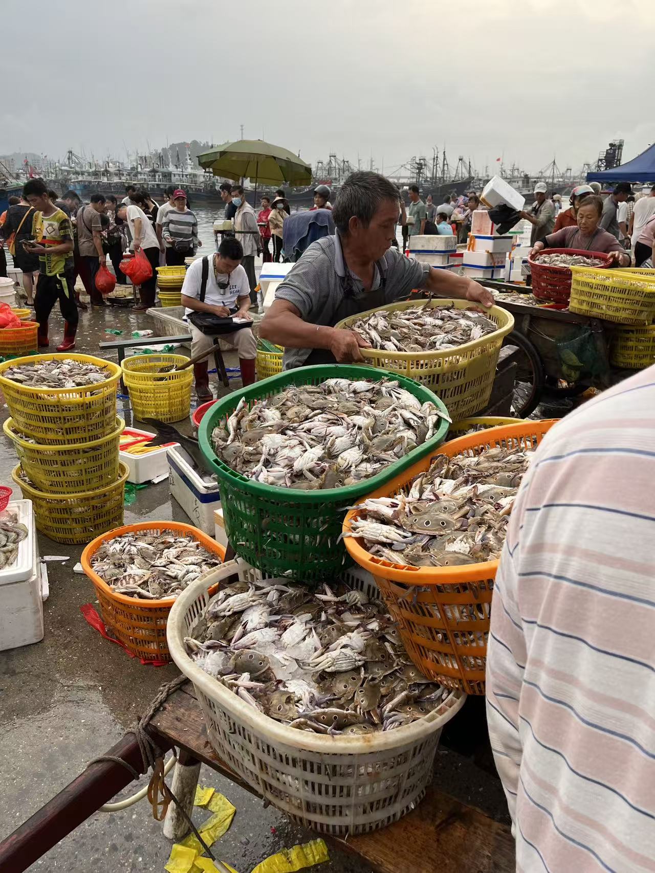 海捕现场图
