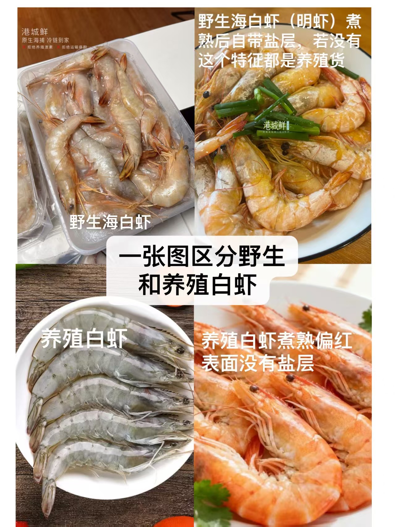 区别养殖虾与野生虾