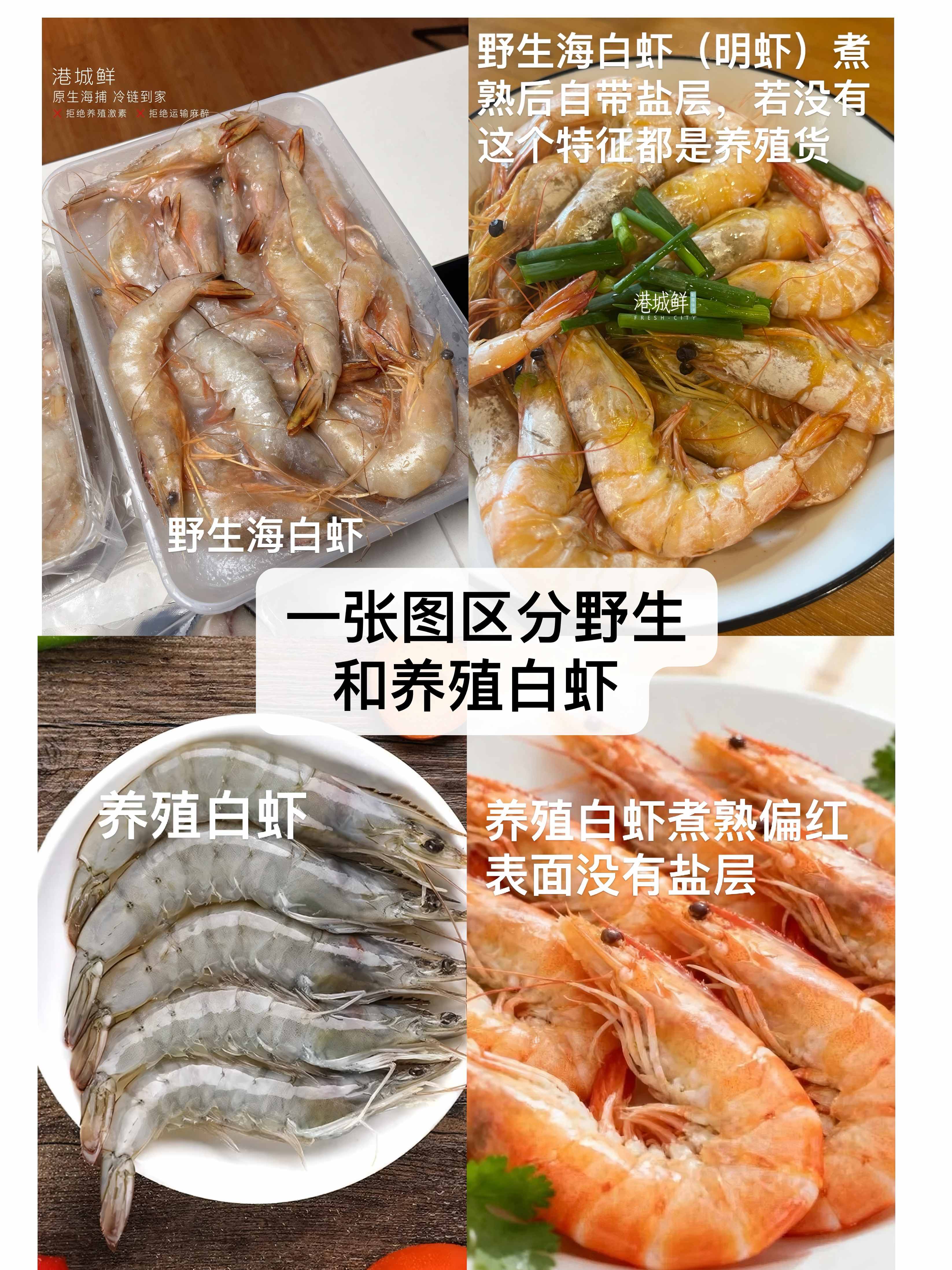 野生养殖的海虾一图区分(1)