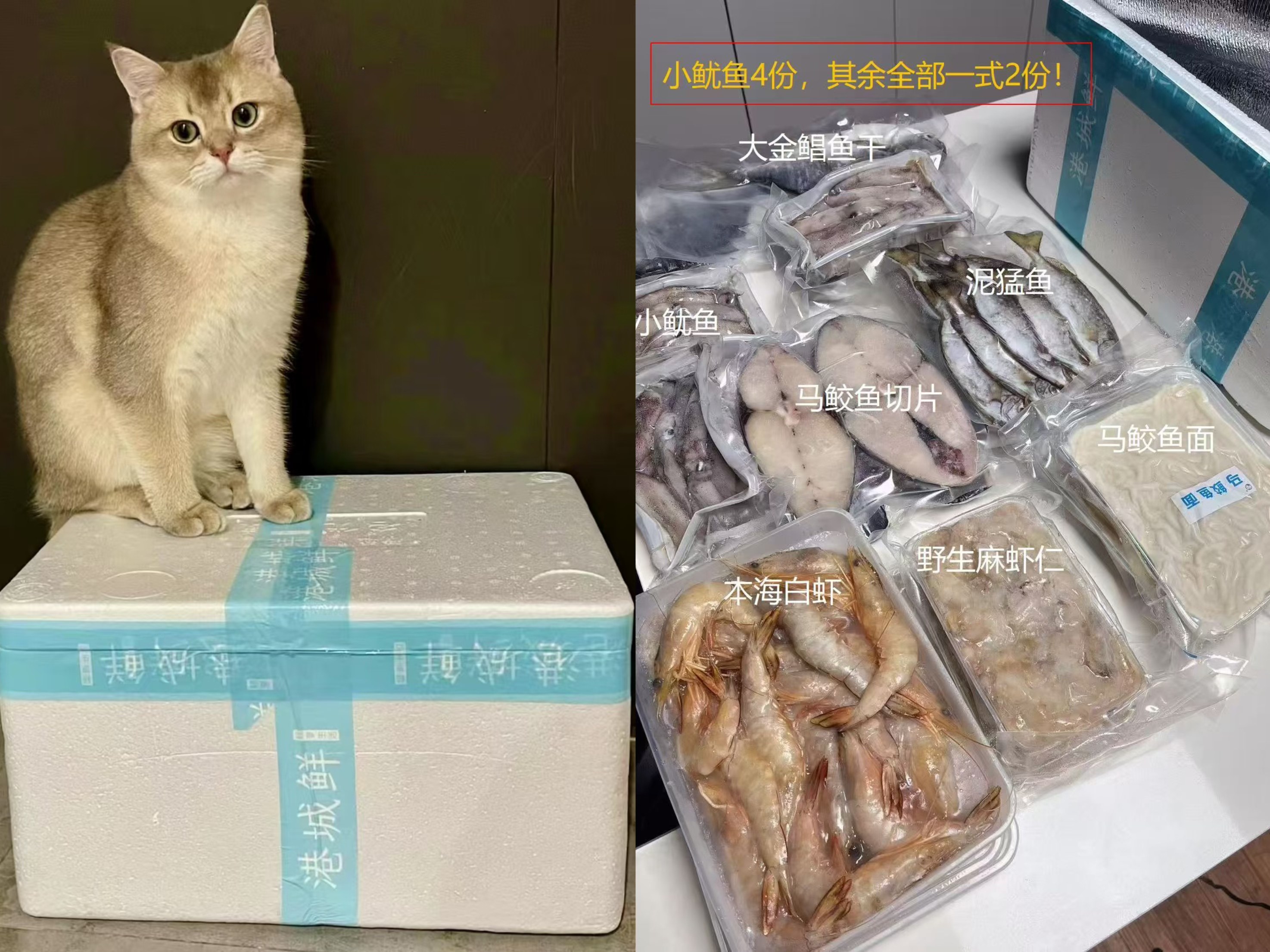 附件图片 11 