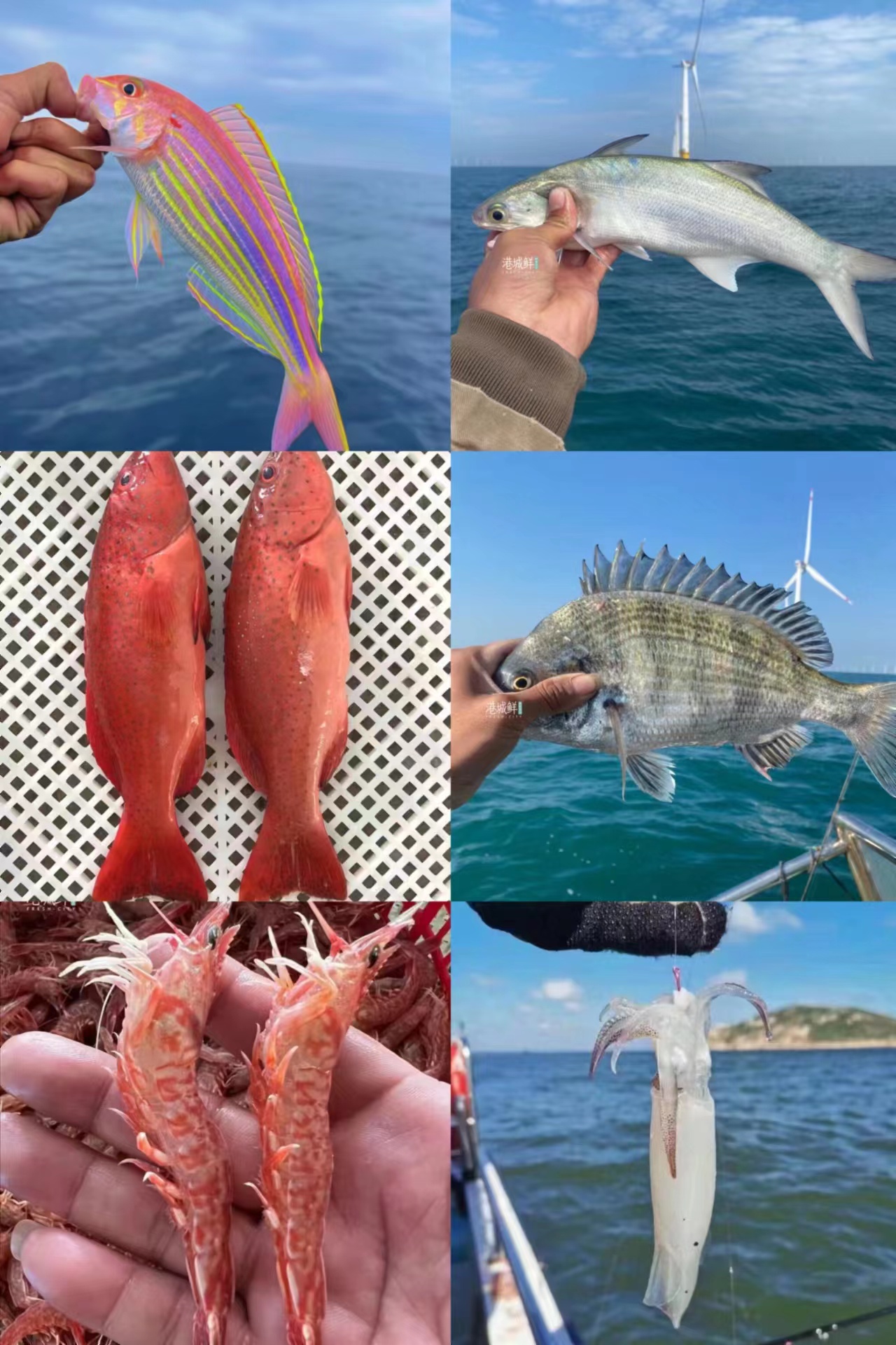 新鲜货图片3